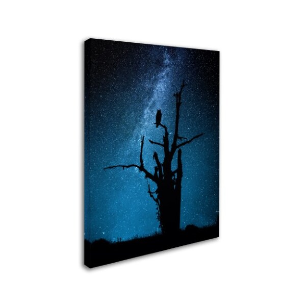 Manu Allicot 'Alone In The Dark' Canvas Art,18x24
